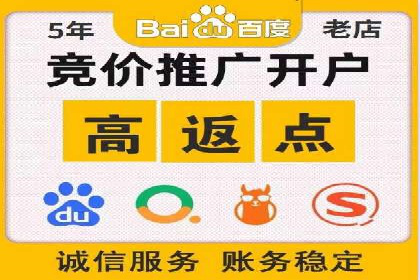 SEM精准广告投放的五大成功案例